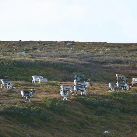 Tunturihotelli Vuontispirtti *